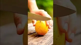 ASMR Cutting the Sapote In Slow Motion 