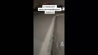 Иду домой но я знаменит походу, меня фоткают муравьи