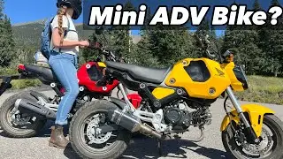 $3500 Mini Adventure Machine (70+MPH)