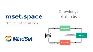 Knowledge distillation