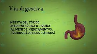 TIPOS DE INTOXICACIONES