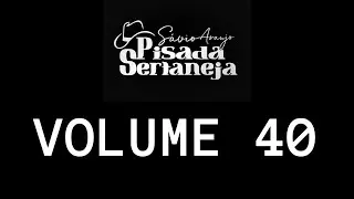 Pisada Sertaneja | Volume 40 | Sucesso do Forró | Verão e São João 2022