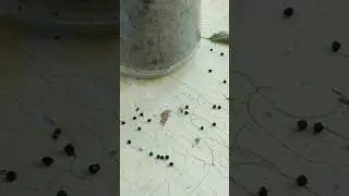 А вот оно что 😁