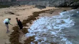 Bermuda Triangle Challenge January 2012