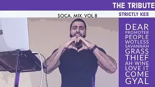 Soca Mix Vol. 8 I The Tribute I Strictly Kes I Savannah Grass, Incredible, Workout, Fallin, Million