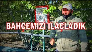 The Cherry Land - Sprayed Our Garden - 12.05.2021 [Turkish Subtitle]