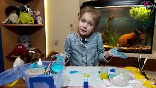 Аня и Даня экспериментируют с готовыми слаймами