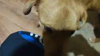 Для людей!!!)