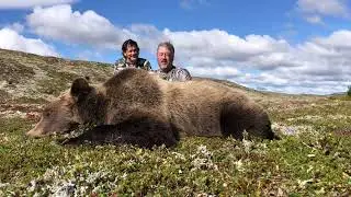 David’s Jumbo Alaska Brown Bear