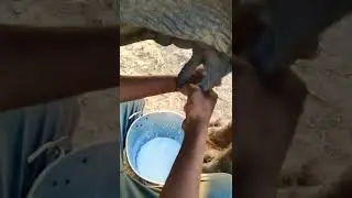 Village Life🐃🥛 #shorts #viral #trending #milk