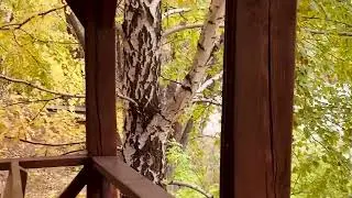 Этно-проект «KANVA» - Пошел дождичек