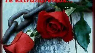 yo te extrañare
