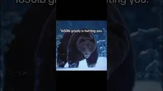 A Grizzly Bear Is Hunting You