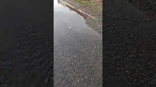 Вода начала сходить 