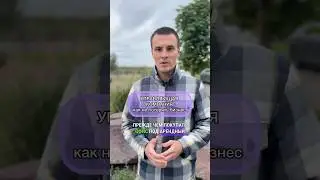 Управляющая компания: как не потерять бизнес