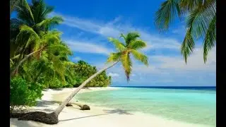 Natural Relaxation music, Stress relief music, Meditation music