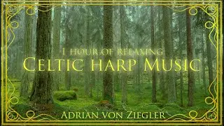 1 Hour of Relaxing Celtic Harp Music by Adrian von Ziegler