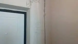 Ежедневная рубрика 