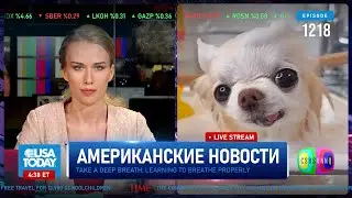 CSBSVNNQ Американские новости — выпуск #1218 от 11.03.2024