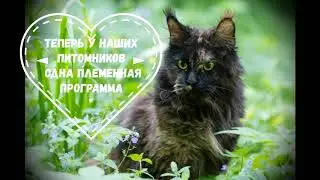 О нас