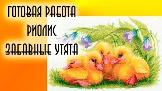 Завершенная работа Риолис 