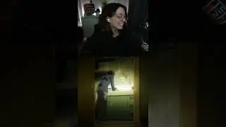 КОРЯ ХОЧЕТ..⚡⚡⚡  