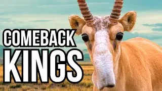 3 Resilient Animals That Refused To Go Extinct