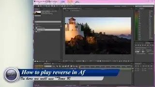 How to play video or composition to reverse in After Effect