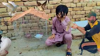 The Cate Attack My Peigen Baby || My Vlog || My peijen