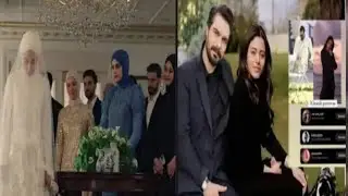 SILA TURKOGLU JE NAPUSTILA SERIJU - SERBET OD BRUSNICE JER JE HALIL  TO ZELIO!