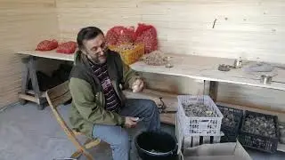 Уникальный, единственный  в России, шелкопряд. Начало сезона. 1-я серия.