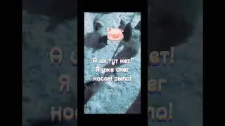 Почти как сказка 12 месяцев ☺