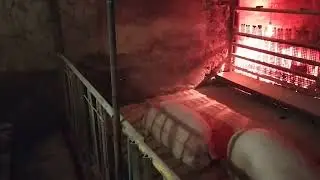 Клетка готова к заселению.