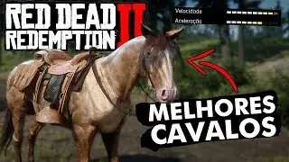 Os Melhores Cavalos De Red Dead Redemption 2. Tudo Sobre Cavalos!