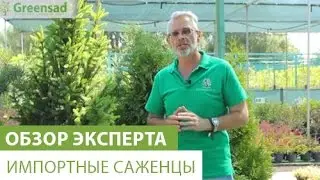 Как выбрать импортные саженцы?