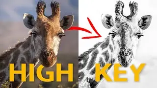 Comment faire un effet HIGH KEY facilement (résultat garanti)
