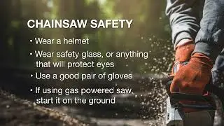 Chainsaw Safety