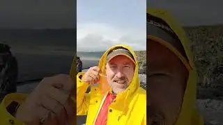 Gidavimo akimirkos Islandijoje🇮🇸