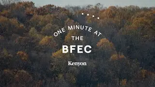 One Minute at the BFEC