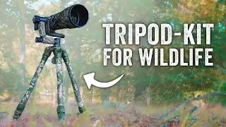 LIGHTWEIGHT tripod-kit for WILDLIFE | Sirui CT-3204 & PH10