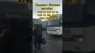 Узбекистан Москва Автобус 