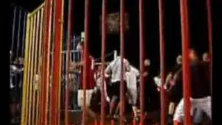 Videoton - Újpest