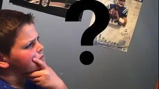 Q&A