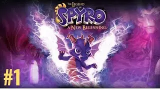 The Legend of Spyro - A New Beginning - Walkthrough - Part 1