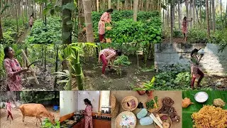 எத்தன சந்தோசம்…தினமும் கொட்டுது உன்மேல🌱One day routine of my farmlife/Harvesting and cooking food