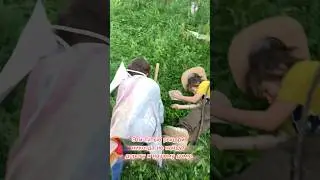 ЭТИ ТУПЫЕ РЫЦАРИ НИКОГДА НЕ НАЙДУТ ДОРОГУ К НАШЕМУ ДОМУ. #врекомендации #рыцари #гномыирыцари #мем