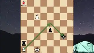 Perfect checkmate etude by G. M. Kasparyan, perfect combination of moves