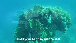 Kirlian Camera * Ocean 2010 *