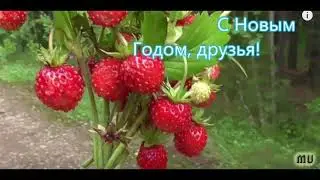 ПОДАРОК ГОДА 2023