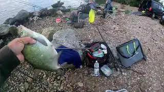 Городской фидер в 